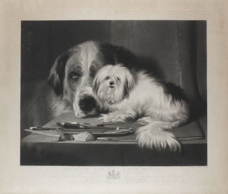 Picture 'THE LION DOG FROM MALTA' (NACH EDWIN LANDSEER)