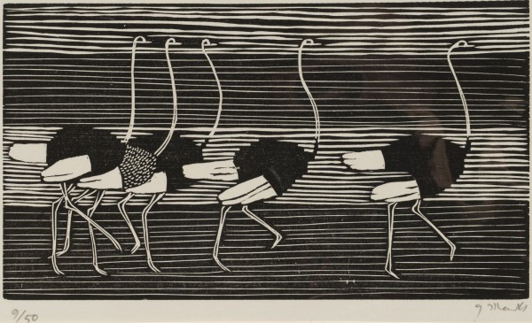 Bild 'LAUFENDE STRAUßE' (1956)