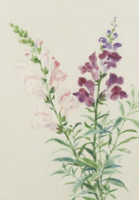 Auktion 149<br>KONVOLUT VON 5 AQUARELLEN (1966)