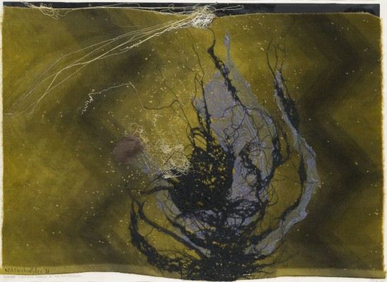 Bild 'BUISSON ARDENT AU PAYS DES MOUSSES' (1961)