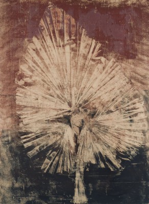 Bild OHNE TITEL (PALMBLATT) (1961)