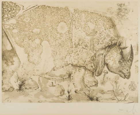 Bild 'LE RHINOCEROS'