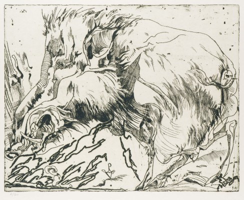 Bild 'WILDSCHWEIN' (1973)