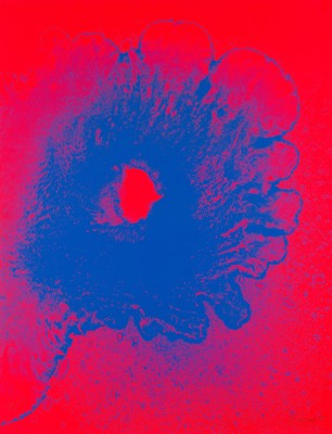 Picture 'JULI' (1991)