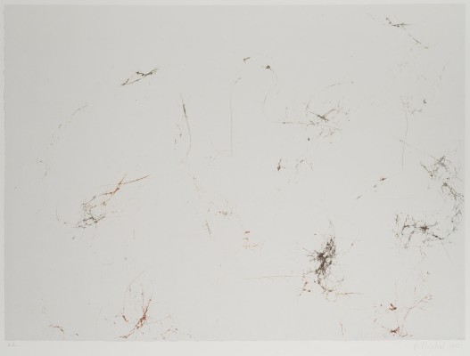 Picture 'HAARBILD' (1991)