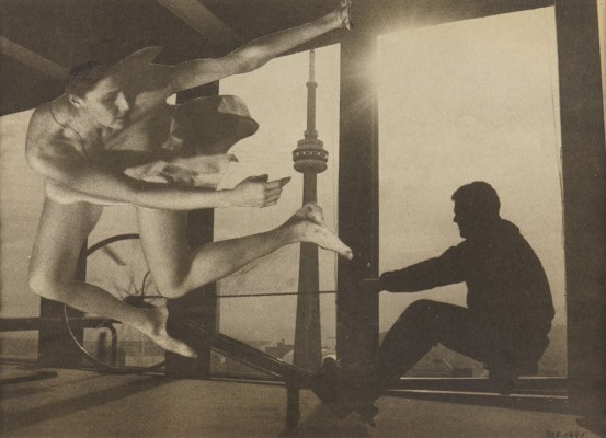 Bild OHNE TITEL (CSW030) (1991)