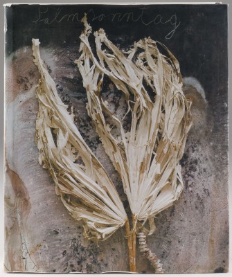 Bild SIGNIERTES BUCH 'STERNENFALL' (2007)