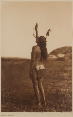 Bild 'THE SUN DANCER'