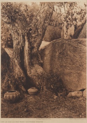 Bild 'ART AS OLD AS THE TREE - SOUTHERN YOKUTS'