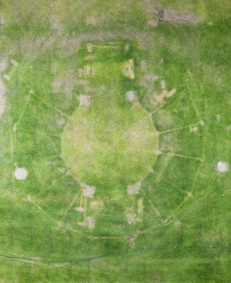 Bild 'RASEN 1' (2002)