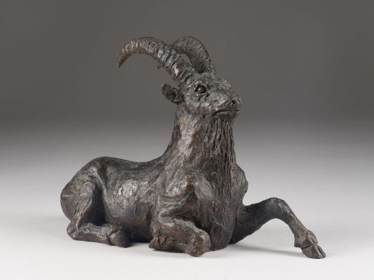 Bild STEINBOCK (1988)