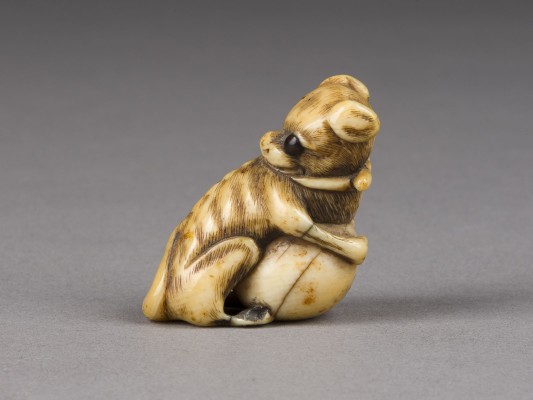 Auktion 148<br>EIN NETSUKE VON HUNDEN AUS ELFENBEIN