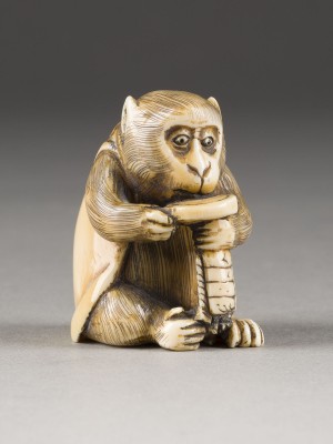 Auction 148<br>EIN AUS WALROSSZAHN GESCHNITZTES NETSUKE EINES AFFEN