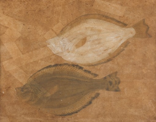 Bild EIN GEMÄLDE MIT DER DARSTELLUNG VON FISCHEN