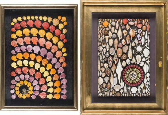 Auction 150<br>DEKORATIVE SAMMLUNG VON MUSCHELSCHALEN IM RAHMEN