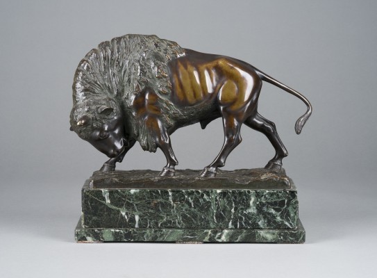 Picture BISON