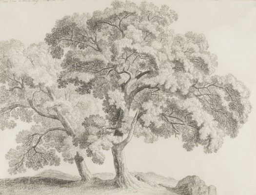 Auction 150<br>DANS LE GARE DU PRINCE GHIGI À LARICCIA, 1772