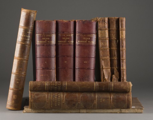 Auction 150<br>KONVOLUT BÜCHER ZUM THEMA 'BIOLOGIE'