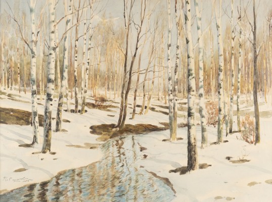 Picture BIRKENWALD