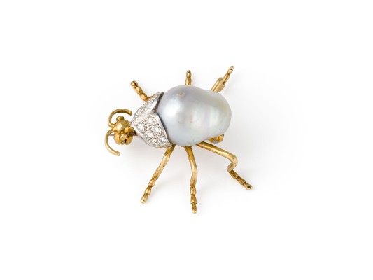 Bild INSEKTEN BROSCHE