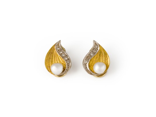 Bild BLATT OHR CLIPS