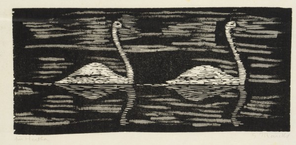 Picture 'ZWEI SCHWÄNE' (1959)