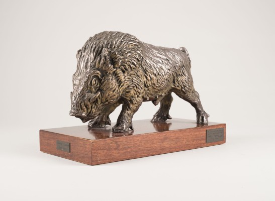 Picture WILDSCHWEIN (CINGHIALE)