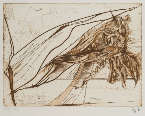 Bild TROCKENE IRISBLÜTE (1976)