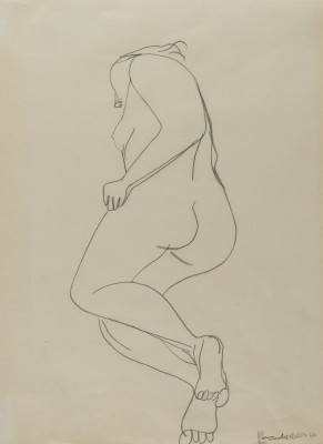 Bild LIEGENDER DAMENAKT