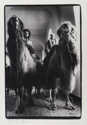 Picture FOTOGRAFIE VON KLAUS RINKE UND GUENTHER UECKER (1978)