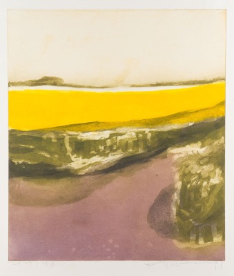 Picture RAPSFELD BEI DÜSTNISHY (1991)