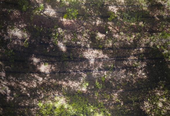 Picture OHNE TITEL (GLEISE) (2003)