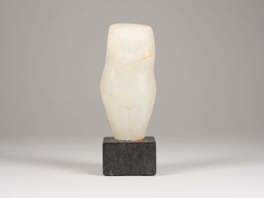 Bild WEIBLICHER TORSO