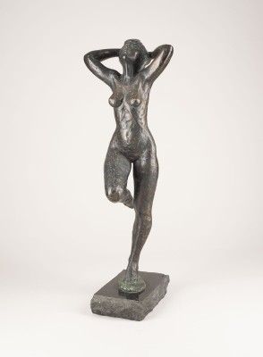 Bild STEHENDER DAMENAKT