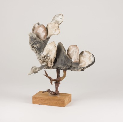 Auction 154<br>'VAUTOUR' GEIER