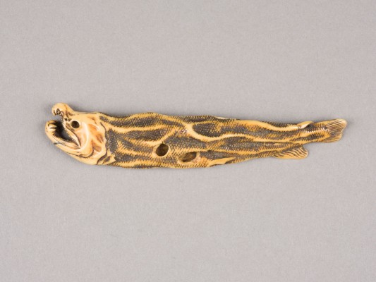Auktion 152<br>EIN SASHI-NETSUKE AUS WALROSSZAHN IN FORM EINES GETROCKNETEN FISCHES