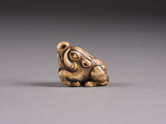 Auktion 152<br>EIN NETSUKE EINES LIEGENDEN EBERS AUS ELFENBEIN