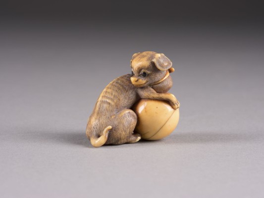 Auktion 152<br>EIN NETSUKE EINES ZURÜCKSCHAUENDEN HUNDES MIT GROSSEM BALL AUS ELFENBEIN