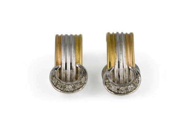 Bild TRICOLOR OHR CLIPS