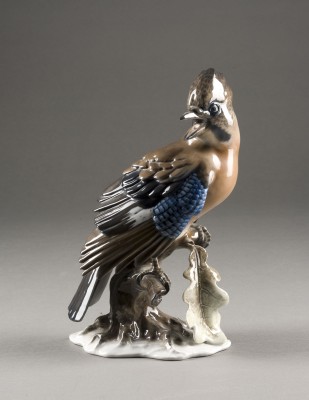 Picture EICHELHÄHER