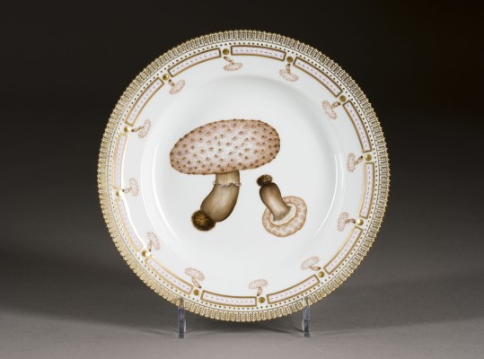 Bild SPEISETELLER 'FLORA DANICA'