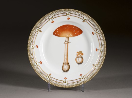 Bild SPEISETELLER 'FLORA DANICA'