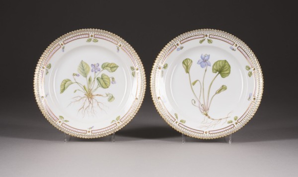 Bild ZWEI KUCHENTELLER 'FLORA DANICA'