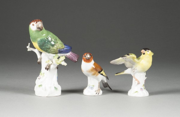 Bild FLIEGENDER ZEISIG, STIEGLITZ UND PAPAGEI AUF STAMM