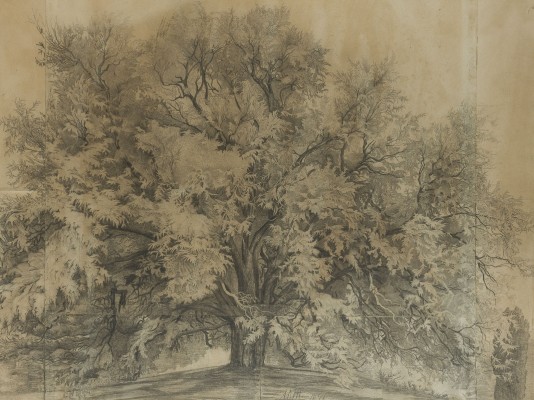 Auktion 155<br>EICHE. 1871