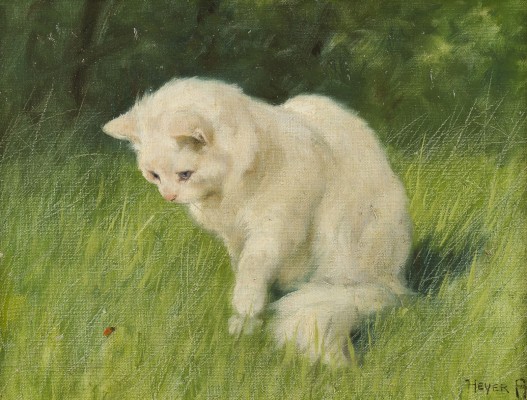 Auction 155<br>WEIßE KATZE UND MARIENKÄFER