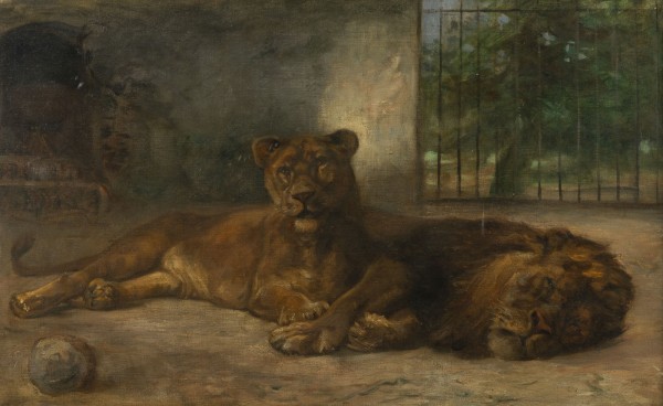 Auktion 155<br>LÖWENPAAR IM GEHEGE