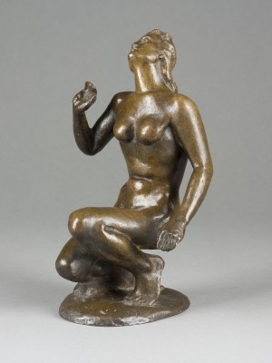 Bild HOCKENDER FRAUENAKT