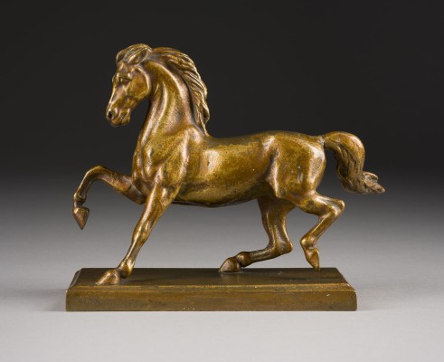 Bild TRABENDES PFERD