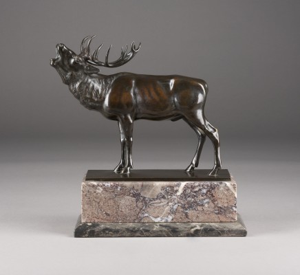 Bild RÖHRENDER HIRSCH